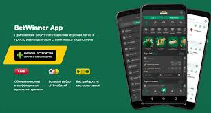 Official BetWinner Application Your Gateway to Online Betting -258850403